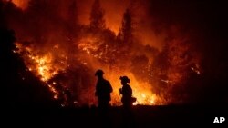 Bomberos monitorean un incendio parte del incendio llamado Complejo Mendocino, el 7 de agosto de 2018, cerca de Ladoga, California.