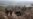 Netanyahu wants UN peacekeeping forces in Lebanon out of ‘harm’s way’