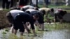 FAO, 북한 식량부족국 재지정..."코로나, 자연재해로 더 취약해져"