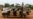 In Boko Haram Offensive, Nigerian Forces on Familiar Ground