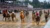 Maximum Security Will Not Run in Preakness