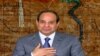 Egypt's Sissi Says Respects Right to Protest With Caution