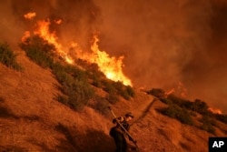 Seorang petugas pemadam kebakaran berjuang melawan Kebakaran Palisades di Mandeville Canyon pada Sabtu, 11 Januari 2025, di Los Angeles. (Foto: AP/Jae C. Hong)