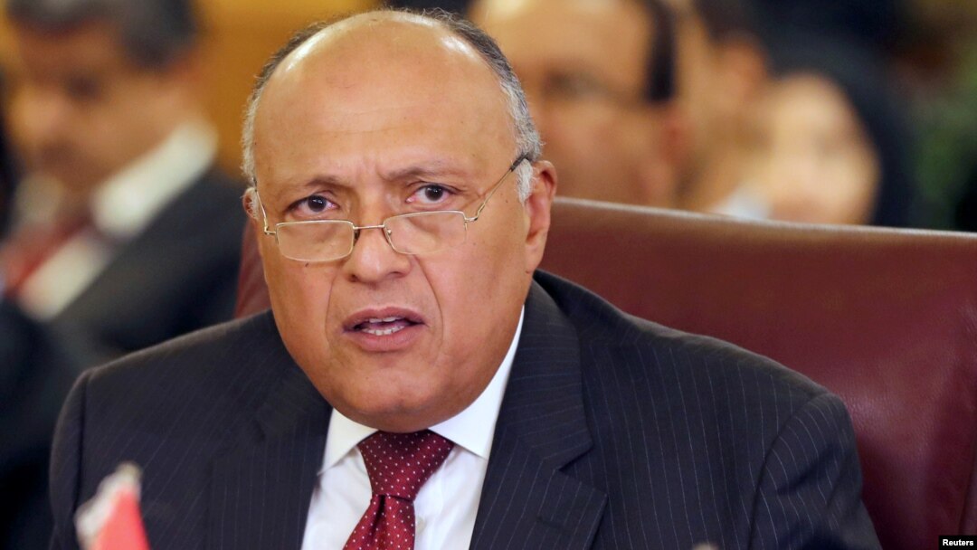 Menlu Mesir Sameh Shoukry menerima kunjungan Menlu Kroasia (foto: dok). 