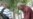 Former Khmer Rouge Prisoners Sell Story of Their Lives