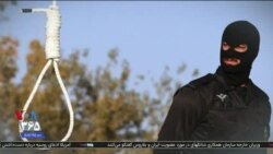 اخبار شامگاهی
