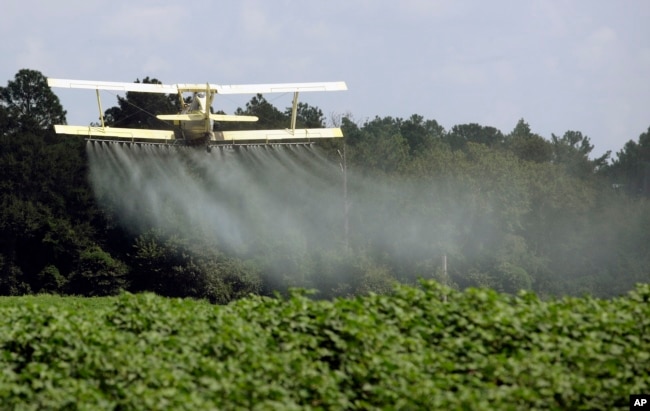 FILE - In this Aug. 4, 2009 file photo, a crop duster sprays a field in Alabama. (AP Photo/Dave Martin, File)