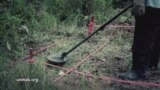 2015 Landmine Report in Cambodia