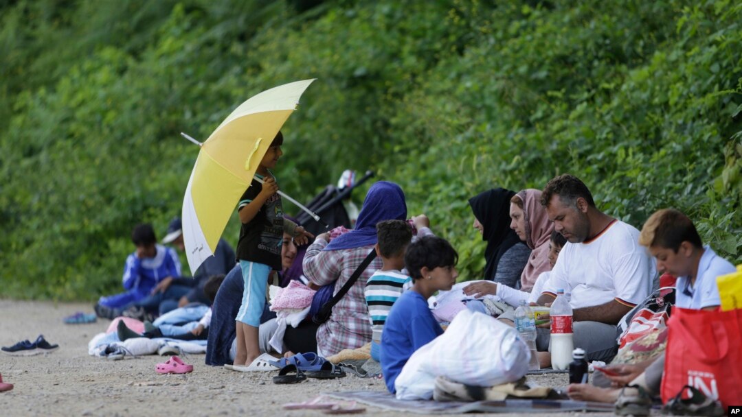 Arhiv Migranti u Velikoj Kladuši, ilustracija