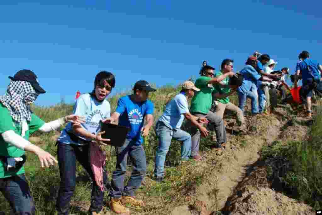 義工們傳遞水桶準備灌溉剛種下的松樹苗