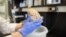 Seorang ilmuwan memegang otak manusia di sebuah laboratorium di Northwestern University, Chicago. (Foto: Dok)