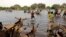 FILE - Herdsmen and others cross a tributary of Lake Chad to the village of N'Gouboua, Chad, March 5, 2015, using the same route the Nigerian refugees used to flee Boko Haram. 