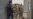 Iraqi Kurd Peshmerga Enter Kobani to Aid in Fight Against IS Militants