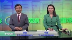 VOA卫视(2016年11月17日 美国观察)