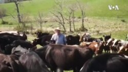 CONNECT: Regenarative Farming -- USAGM