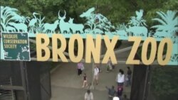 U Zoološkom vrtu Bronxa, potvrde o državljanstvu djeci iz 25 zemalja