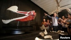 FILE - Brazilian paleontologist Alexander Kellner shows the fossils and a model of the prehistoric pterosaur to journalists during a presentation at Rio's Federal University Museum in Rio de Janeiro, March 20, 2013.