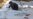 Syrian Opposition Says Assad Forces Used 'Poison Gas'