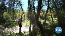 Mother Tongue Film Festival WEB