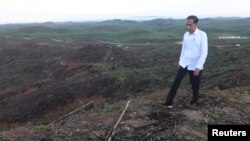 Presiden Joko Widodo meninjau lokasi ibu kota Indonesia yang baru di kecamatan Sepaku, Kabupaten Penajam Paser Utara, Kalimantan Timur, 17 Desember 2019. (Foto: Antara via Reuters)