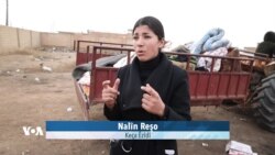 Keça Êzidî Nalîn, bi Dilxwazî û Çalak Xizmeta Derbideran Dike