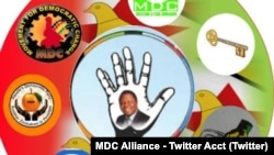 MDC Alliance Logo