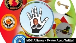 MDC Alliance Logo