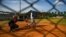 Baseball players play with friends at a field in Havana, Oct. 7, 2021. This year a record number of Cuban baseball players have defected abroad.