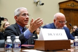 Dr. Anthony Fauci, left, director of the National Institute of Allergy and Infectious Diseases, testifies at a House committee hearing on preparedness for and response to the coronavirus outbreak on Capitol Hill in Washington, March 11, 2020.