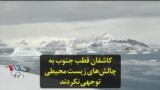 کاشفان قطب جنوب به چالش‌های زیست محیطی توجهی نکردند