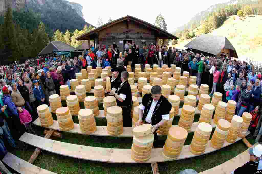 Farmers pile up pieces of cheese to share in proportion to their cows' milk production during the traditional "Chaesteilet" (Cheese allocation) in Justistal, Switzerland.