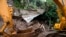 A bulldozer removes debris during the search for seven people who were buried by a landslide due to the heavy rains caused by Tropical Storm Cristobal, in Santo Tomas, southern San Salvador, on June 4, 2020.