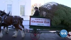 White House Kicks Off Holiday Season