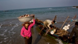 မြန်မာကမ်းရိုးတန်းဒေသ ငါးပမာဏ လျှော့နည်းလာ