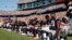 FILE - Several New England Patriots players kneel during the national anthem before an NFL football game against the Houston Texans in Foxborough, Mass., Sept. 24, 2017.