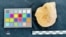 دۆزینەوەی شوێنەوارێکی مێژوویی لە هەرێمی کوردستان