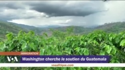 Crise migratoire : Washington cherche le soutien du Guatemala