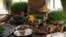 Persian Nowruz Norooz 
