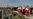 Probe Underway in Ukrainian Plane Crash Outside Tehran That Killed 176