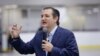 Cruz: Allowing Syrian Refugees Into US is 'Crazy'