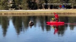 Տեսեք թե ինչպես եղնիկին փրկեցին սառույցից