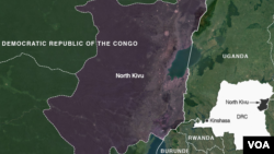 Suspected Islamist Extremists Kill 18 Civilians in Eastern DRC