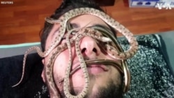 Snake Massages Begin in Cairo Spa