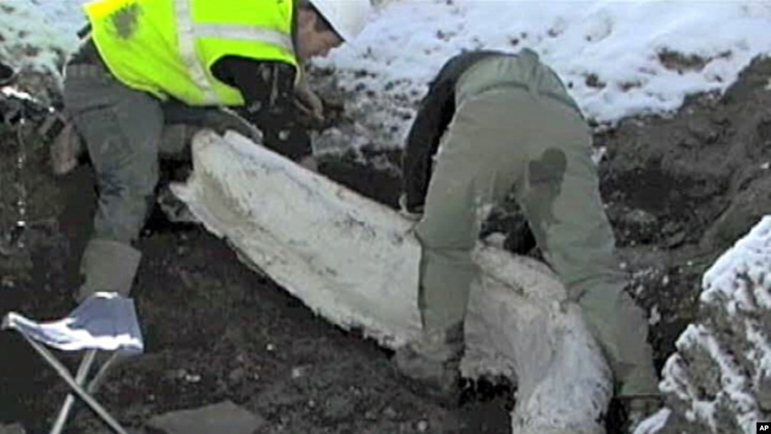 Construction Crew Unearths Ice Age Fossils