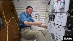 Mission specialist performs checks of a cell culture module aboard the US space shuttle.