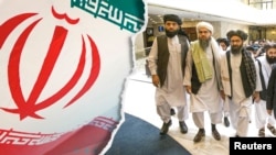 افغان حکومت وايي د طالبانو کوربتوب د نړیوالو اصولو خلاف دی