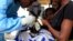 File - A South Sudanese baby suffering from cholera is attended to by medics at the Juba Teaching Hospital in Juba. 