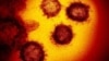 Studi: Virus Corona "Bisa Bertahan 28 Hari di Permukaan Benda"
