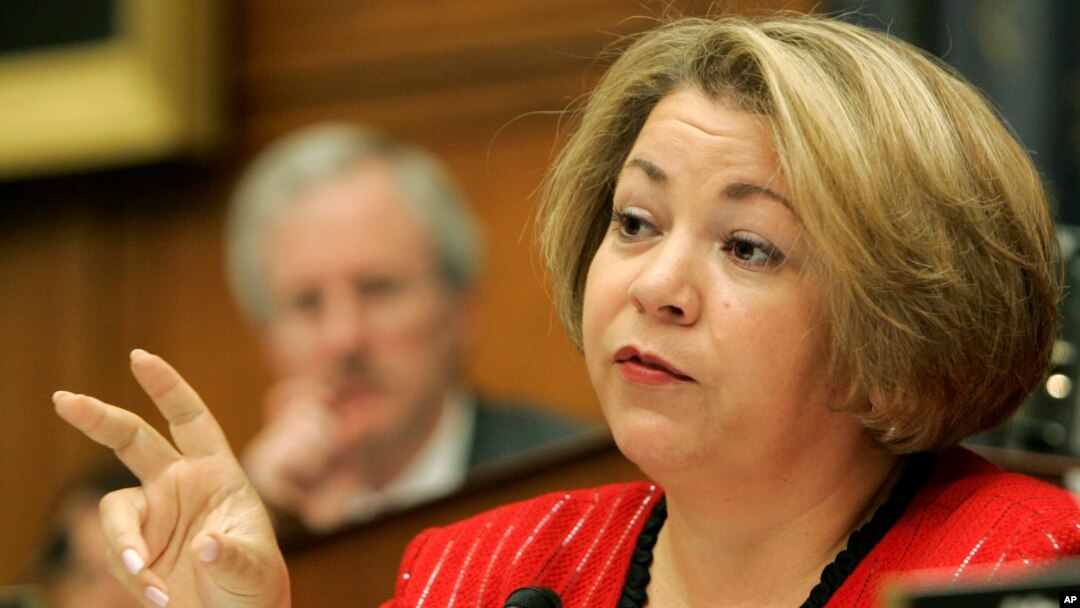 La legisladora demócrata y presidenta del Caucus Hispano, Linda Sáchez dijo que los congresistas hispanos sienten la responsabilidad de contribuir a una reforma migratoria integral.
