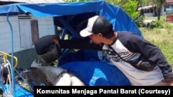 Seekor penyu sisik yang ditangkap nelayan dan hendak dijual ke lepau tuak di Tapanuli Tengah, Sumatera Utara, Minggu, 1 September 2019. (Courtesy: Komunitas Menjaga Pantai Barat)